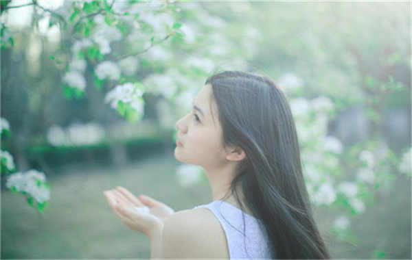 蕉城验血查男女几周可以验(验血查男女结果图)